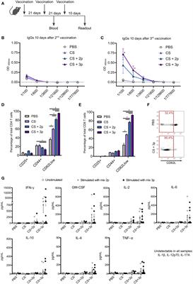 Immunization with nanovaccines containing mutated K-Ras peptides and imiquimod aggravates heterotopic pancreatic cancer induced in mice